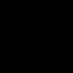 Meet your Posher, Jaylen